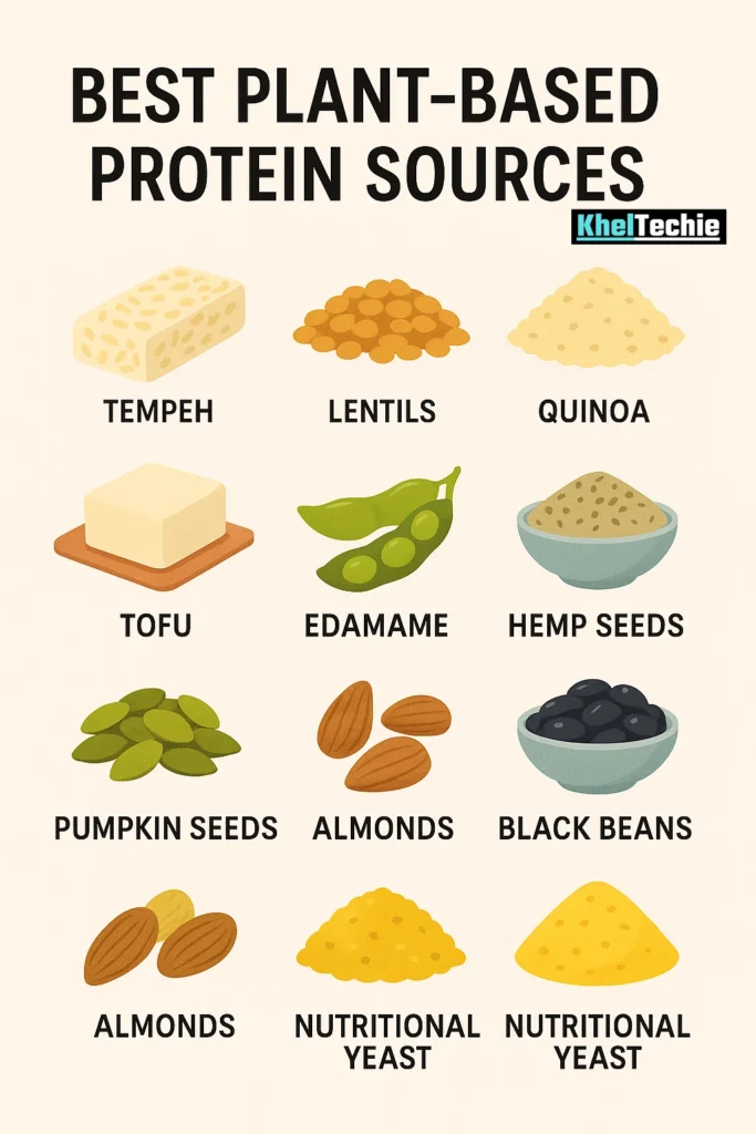 Top 12 Best Plant-Based Protein Sources