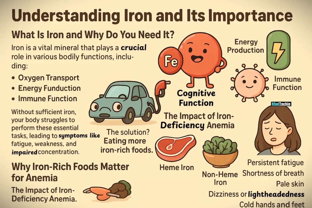 Understanding Iron and Its Importance
