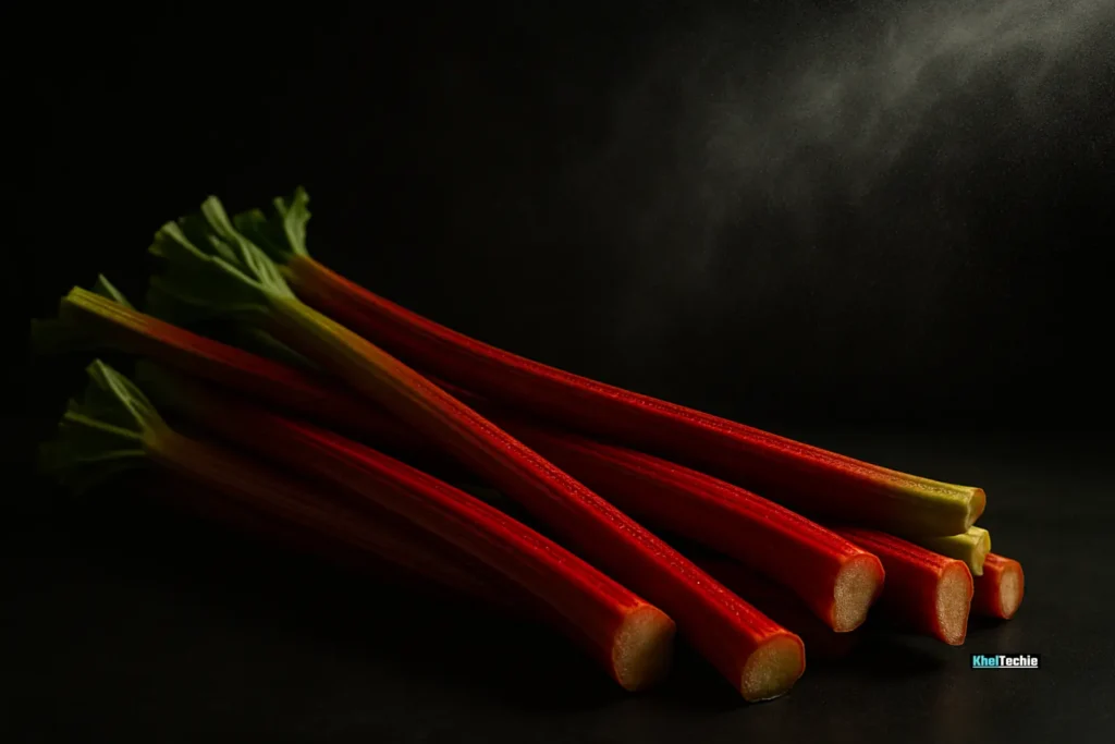 Moody photo of raw rhubarb stalks with dark background